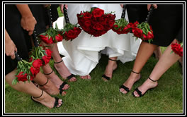 Outdoor Weddings